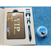 Vip Smart Vip Pro Master Gsm Card Box A808 Earphone 218 Headset Inductive Necklace Neckloop Kit With 337 Battery 